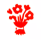 Bloemen